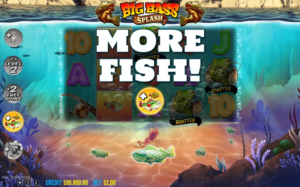 A bold MORE FISH! banner covers the reels, revealing two Scatter fish and fish-value cards behind it.